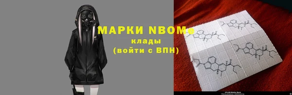 ПСИЛОЦИБИНОВЫЕ ГРИБЫ Абаза