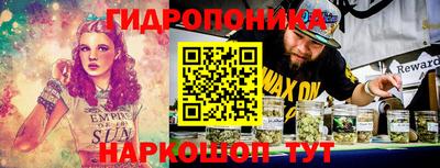 прущие грибы Конаково